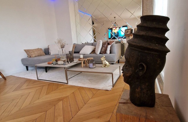 Magnifique Appartement Parisien