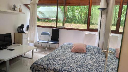 Magnifique Studio du Chateau VLP