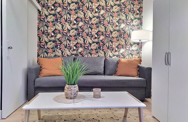 Magnifique Studio Le Toucan - Centre Ville -smart TV + Terrasse