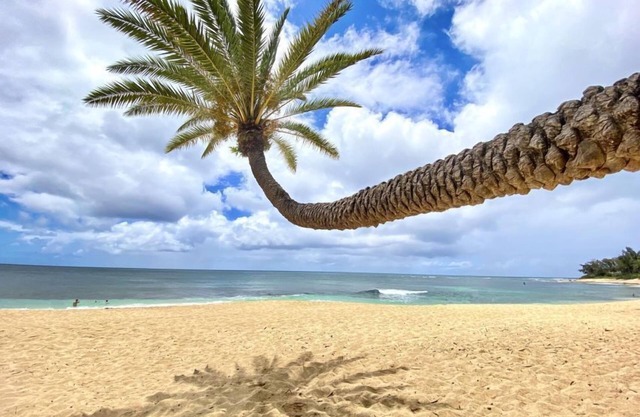 Makana Dream - Beachfront
