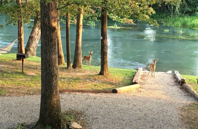 Mammoth Spring Retreat. Gated for privacy, Five cabins, one price. On the River
