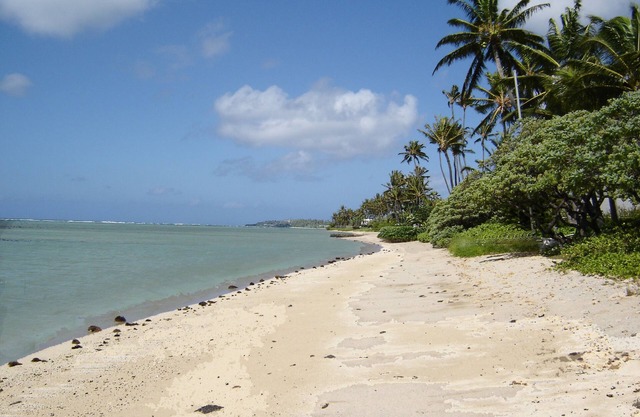 Mango Haven - A Gracious HISTORIC Beachfront Home