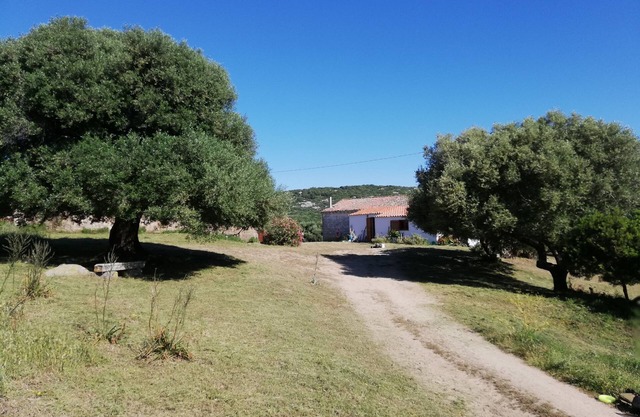 Mansion - Luogosanto - House with character in the countryside at 15km from all the beaches