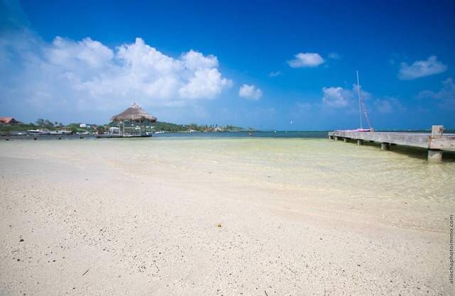 Manzelle & Mazurka ,up to 18 guestsnLuxury beach front villa in Martinique