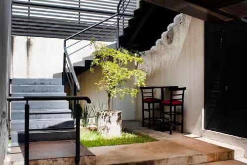 Maravilla en el Centro Histórico de GDL