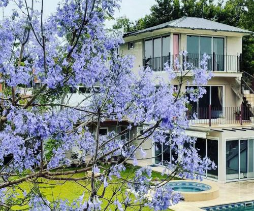 Margaritas y Soles Petit Hotel