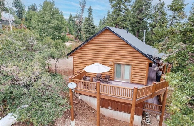 Meandering Moose Above Park City