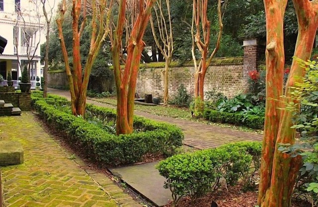Mid 1700s Carriage House W/Courtyard, Gated Parking, And A Full Kitchen