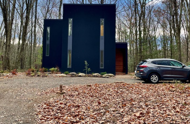 Minimalist House In Woods
