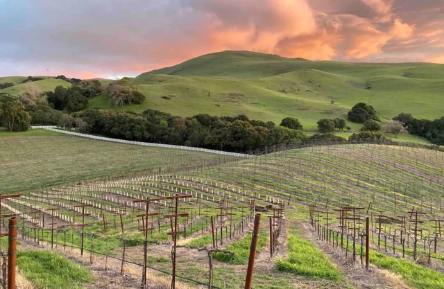 Mission Peak Ranch: Farm Stay