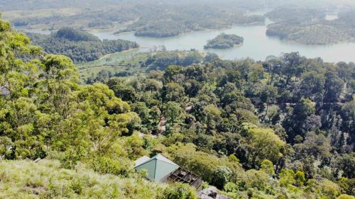 Misty Munnar Cliff Heaven