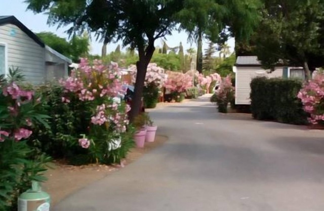 MOBILE HOME With a view of the Occitan vineyards