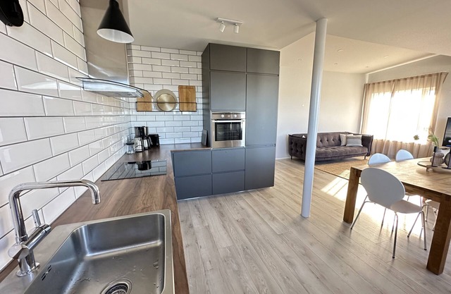 Modern apartment centrally located in Reykjavik