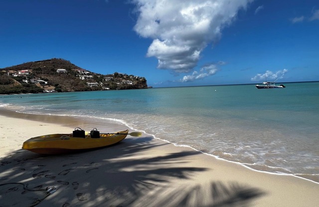 Modern Condo w/Panoramic Views Walking Distance Between Grand Anse & BBC Beach