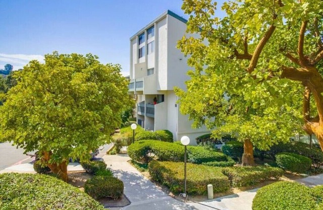 Modern Condo Central near Beach & Bay