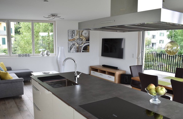 modern great apartment (approx. 110 m²)