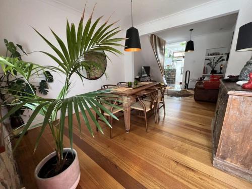 Modern Sydney Surry Hills Century Cottage