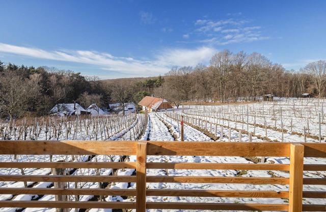 modernes Ferienhaus Guessing