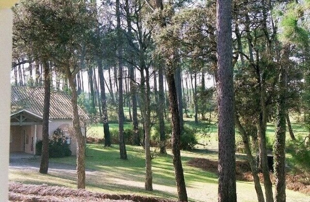 Moliets plage - Nice apartment -Pool -rdc -Large terrace/veranda