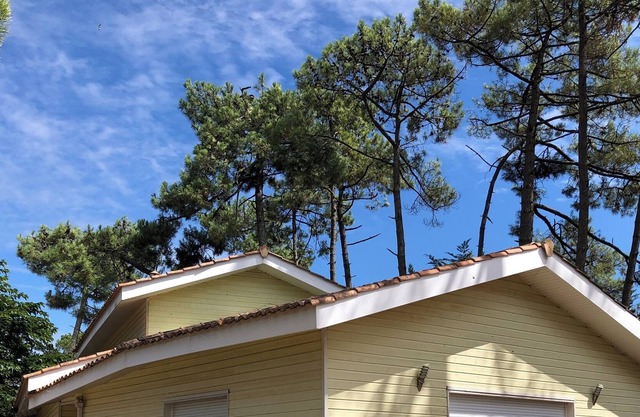 Montalivet: house / villa - MONTALIVET