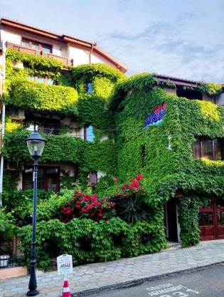 More Family Hotel