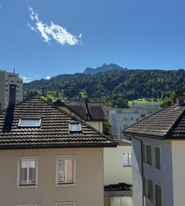 Mount Pilatus view Apartment Lucerne with free parking & WIFI