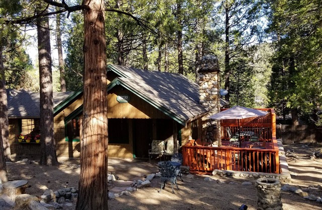 Mountain Cabin - Old Idyllwild Charm! Dog friendly. Minutes from the village.
