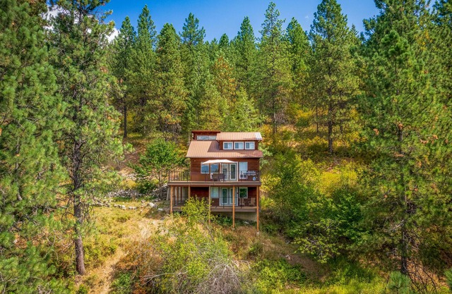 Mountain Cabin Surrounded by Wilderness