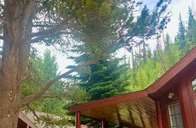 Mountain Forest Breckenridge Dream Cabin