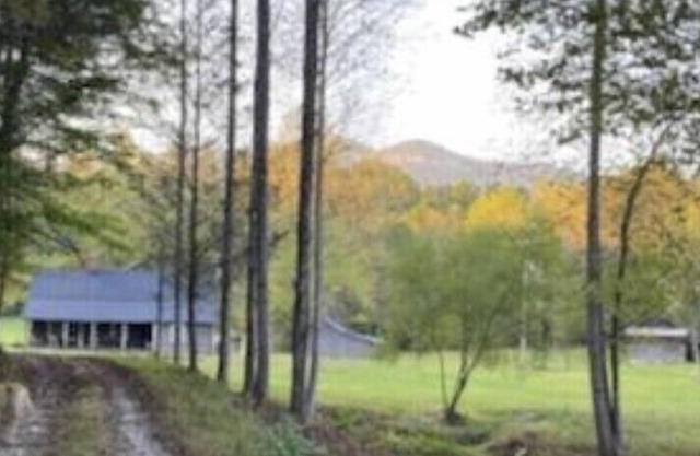 Mountain homestead - vast property with winding creek sleeps 7