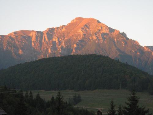 Mountain view apartment Predeal