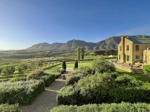 Moya's Vineyard