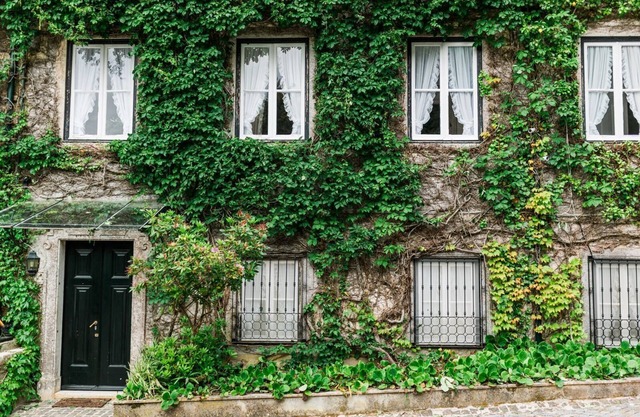 Mystical and Charming Villa in Sintra