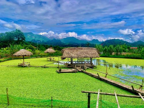 Nếp homestay