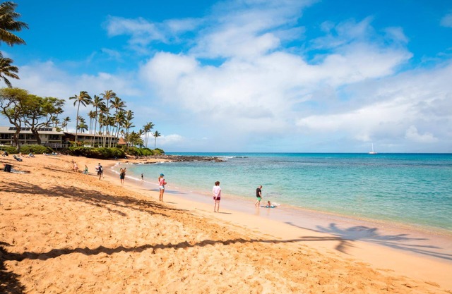 Napili Bay NPG-C11 by KBM