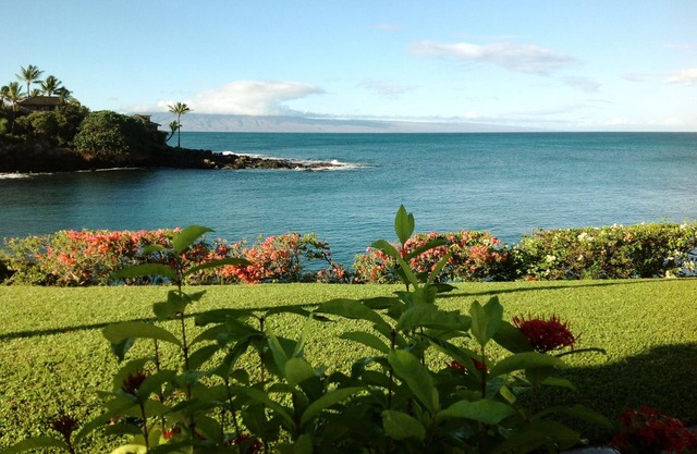 Napili Point A16-A Piece of Paradise-Turtles Just a Few Steps Away!