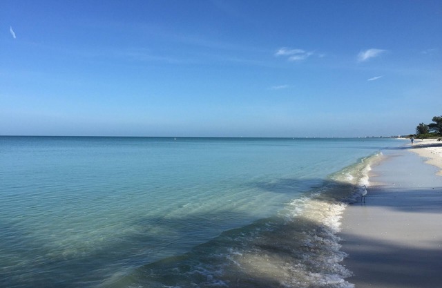 Naples Pool Home, Walk to Vanderbilt Beach & Mercato