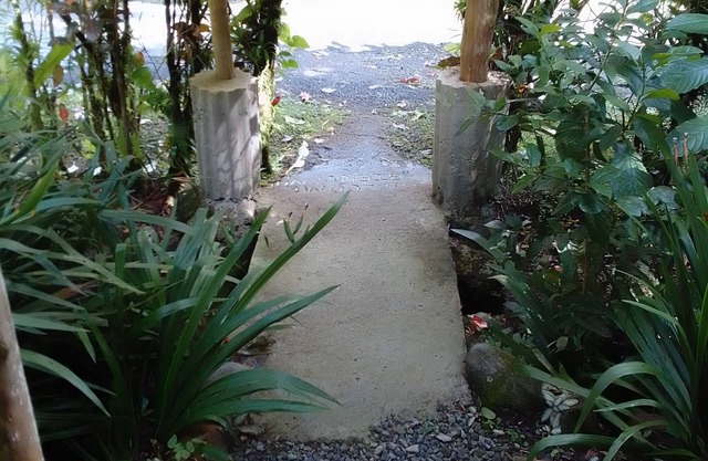 Natty Tropical Valley