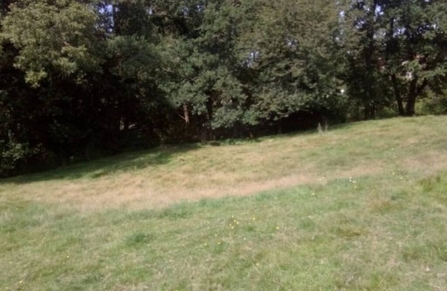 Nature and tranquility pods.