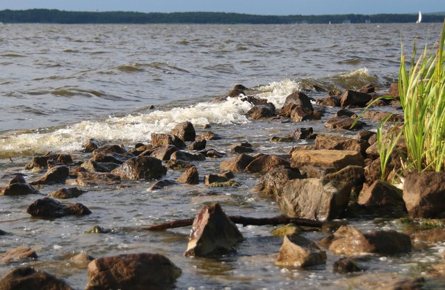 Nature Park Steinhude, sailing, surfing, walking cycling