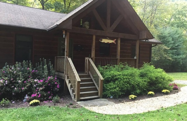Nature's Delight in Robbinsville NC: Snowbird Creek, Dragon's Tail and Trout
