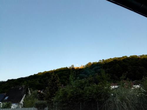 Naturnahe FeWo in Bad Dürkheim-Hausen