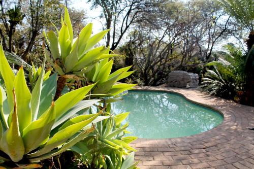 Ndlovu 41 inside the Dinokeng Big 5 Game Reserve