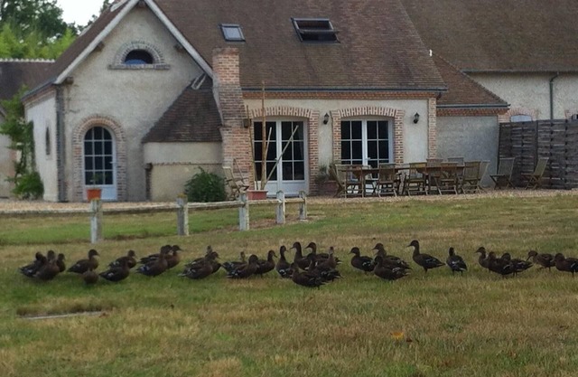 near Loire valley very comfortable house in front of a private river, calm place