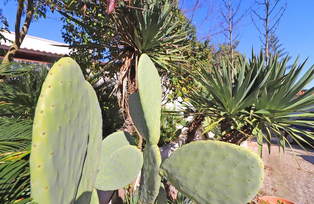 Negroamaro House Torre Santo Stefano Otranto