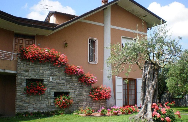Nel Giardino Degli Ulivi