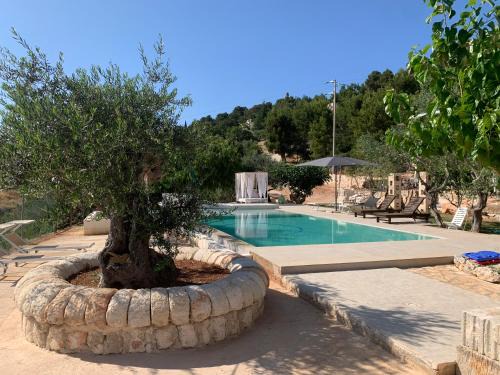 NEW apartment oasi di pace