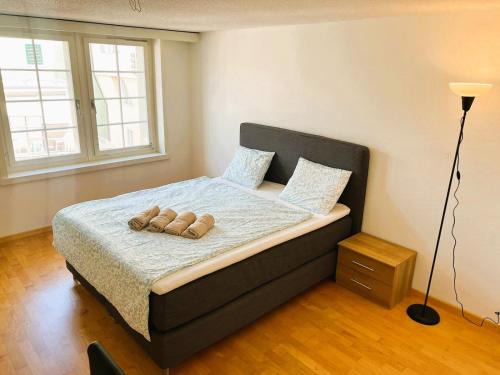 New Cozy 2 room Apartment in Zurich Old Town Center RENN - Self Checkin