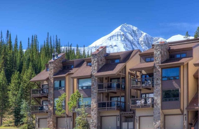 New Reno Ski In/Out Lux Modern Duplex w/Private Hot Tub, Heated Garage, Views