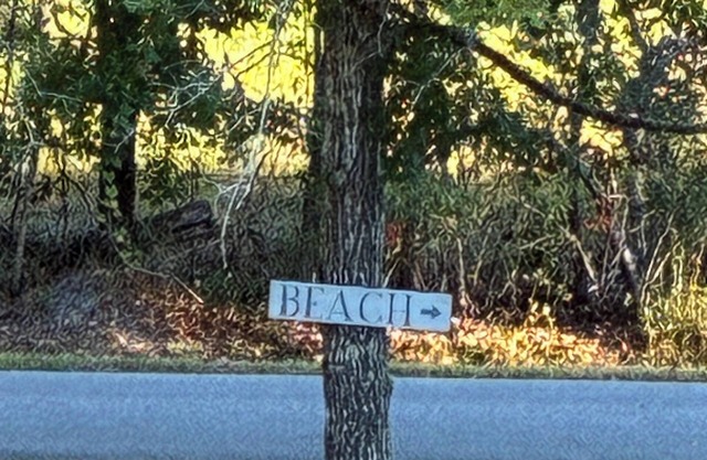 !NEW! The Hoff Shell: Serene Beachside Haven